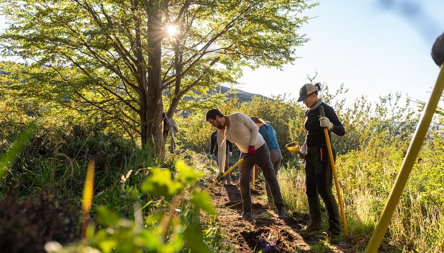 Las Torres Patagonia gana premio como la mejor Campaña de Marketing del año en los LATA Excellence Awards 2025