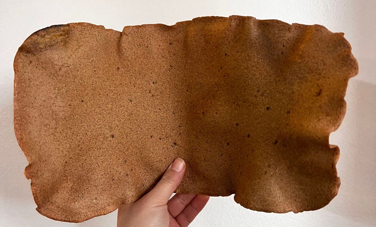 Carrot-based bio-leather