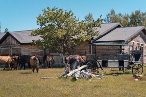 Las Torres Patagonia es el único representante de Chile en la nueva edición del WTM Latin America 2023 que se llevará a cabo en Sao Paulo, Brasil. Este 4 de abril, los 15 finalistas competirán por el primer lugar en este importante evento.