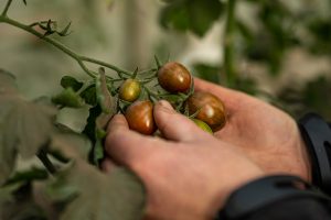 ¡Las Torres Patagonia: finalista del premio de Turismo Responsable de WTM Latin America!