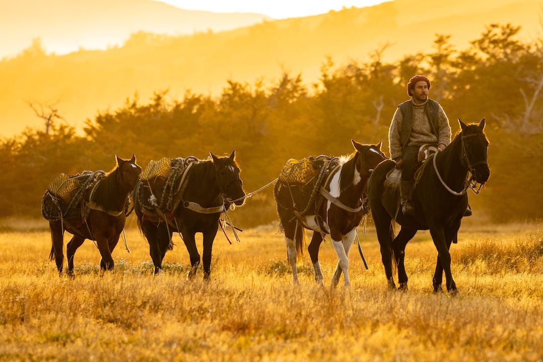 Chilean Pride: Hotel Las Torres Named South America’s Leading Green Hotel at the World Travel Awards
