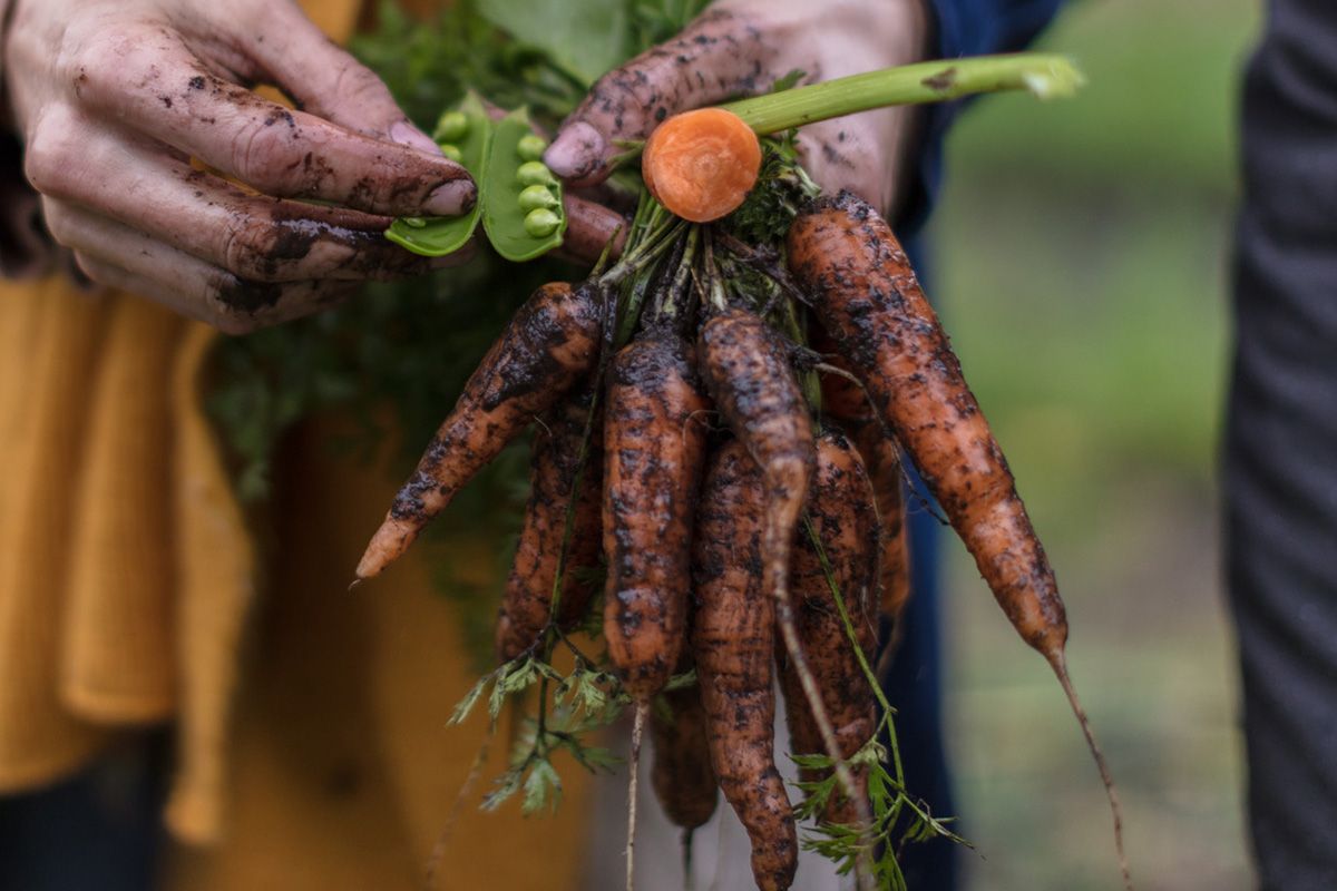 ¡Inscríbete en el voluntariado de la huerta biointensiva del Hotel Las Torres!