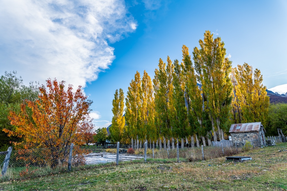 Las Torres Patagonia develops initiatives to reuse beer waste and beef bones
