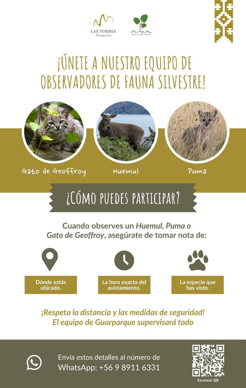 Las Torres Patagonia joins emergency protocol introduced after sighting of American mink in Torres del Paine